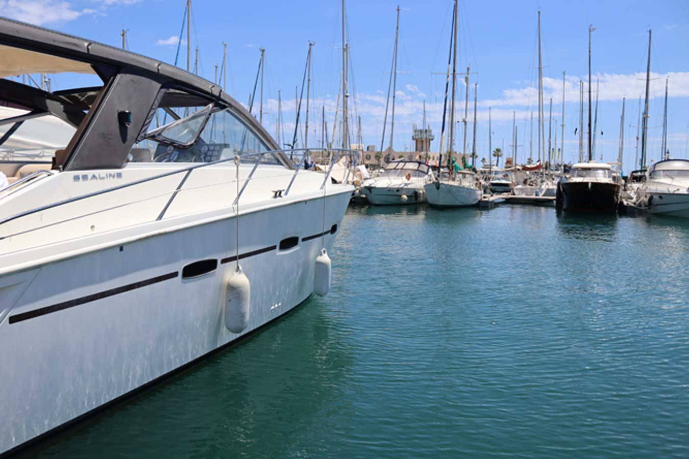 Charter de pesca en Ibiza